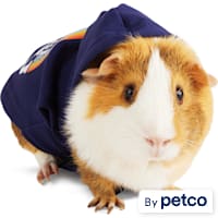 YOULY Be You Small Animal Dog Hoodie