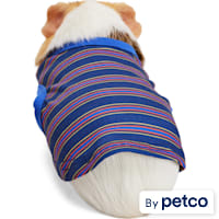 YOULY Navy Stripe Small Animal Dog Tee