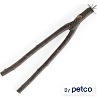 You & Me Bird Manzanita Wood Multi-Branch Bird Perch Toy