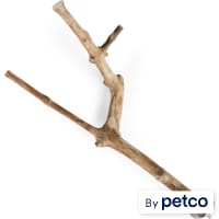 You & Me Java Wood Multi-Branch Perch Toy