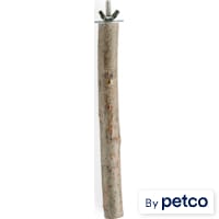 You & Me Manzanita Wood Bird Perch Toy