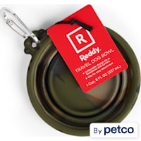 Reddy Travel Silicone Dog Bowl