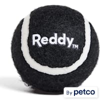 Reddy Black Tennis Ball Dog Toy