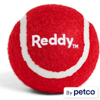 Reddy Red Tennis Ball Dog Toy