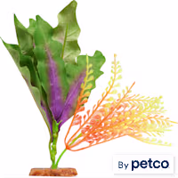 Imagitarium Green and Orange Fern Silk Aquarium Plant