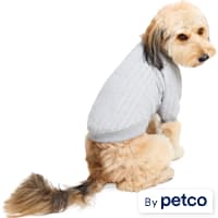 Reddy Quilted Crewneck Dog Sweater