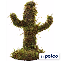 Mossy Cactus