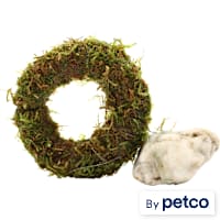 Floating Java Moss Ring