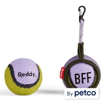 Reddy Lilac On-the Go Ball with Holder Dog Toy