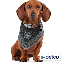 Reddy BFF Bandana for Dogs and Cats