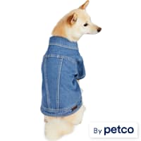 Reddy Denim Jacket for Dogs
