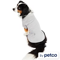 Reddy Pleated Polo Shirt for Dogs