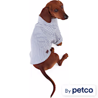 Reddy Railroad Stripe Shirt for Dogs