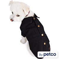 Reddy Denim Dress for Dogs