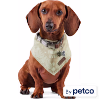 Reddy BFF Dog Bandana