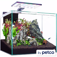 Imagitarium Glass Shrimp & Aquatic Plants Aquarium
