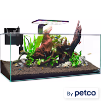 Imagitarium Shallow Glass Shrimp & Aquatic Plants Aquarium