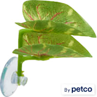 Imagitarium Double Leaf Betta Perch
