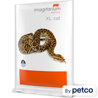 Frozen XL (Jumbo) Rat