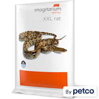 Frozen XXL Rat