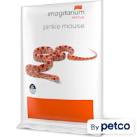 Frozen Pinkie Mouse