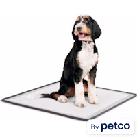 So Phresh Silicone Potty Pad Holder