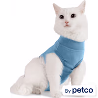 Well & Good Recovery Suit for Kittens