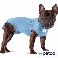 Well & Good Recovery Suit for Dogs