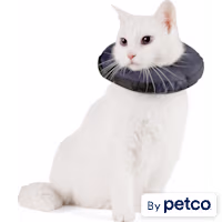 Well & Good Soft-Filled Recovery Kitten Collar