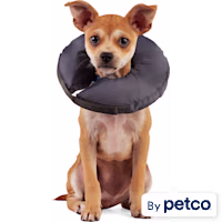 Well & Good Soft-Filled Recovery Dog Collar