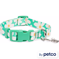 YOULY Daisy Dog Collar