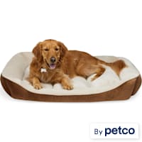 EveryYay Essentials Rectangle Nester Dog Bed