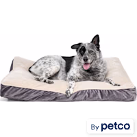 EveryYay Essentials Lounger Dog Bed