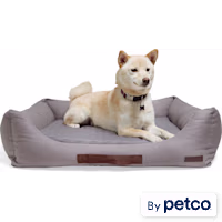 Reddy Cozy & Cool Touch Dog Bed