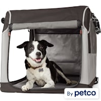 Reddy Foldable Travel Crate for Pets