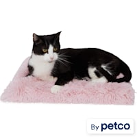 EveryYay Pink Fuzzy Fur Solid Cat Bed
