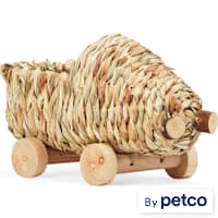 EveryYay Grass Car for Small Animals