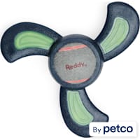 Reddy Tennis Ball Fetch Toy