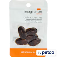 Imagitarium Dubia Cockroach
