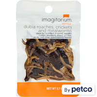 Imagitarium Insect Variety Pack