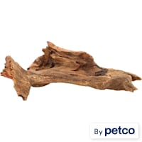 Terrarium Driftwood