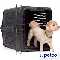 EveryYay Travel Pet Kennel