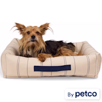 EveryYay Stripe Cuddler Dog Bed
