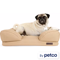 Reddy Indoor/Outdoor Dog Bed