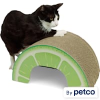 EveryYay Novelty Lime Cardboard Cat Scratcher