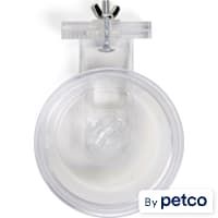 EveryYay Food & Water Crock for Small Animals