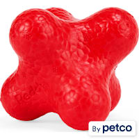 Reddy Erratic Ball Dog Toy