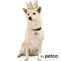 YOULY Birthday Crown Pet Hat