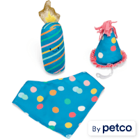 YOULY Birthday Party Set for Dogs