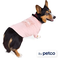 Reddy Local Dog Tee